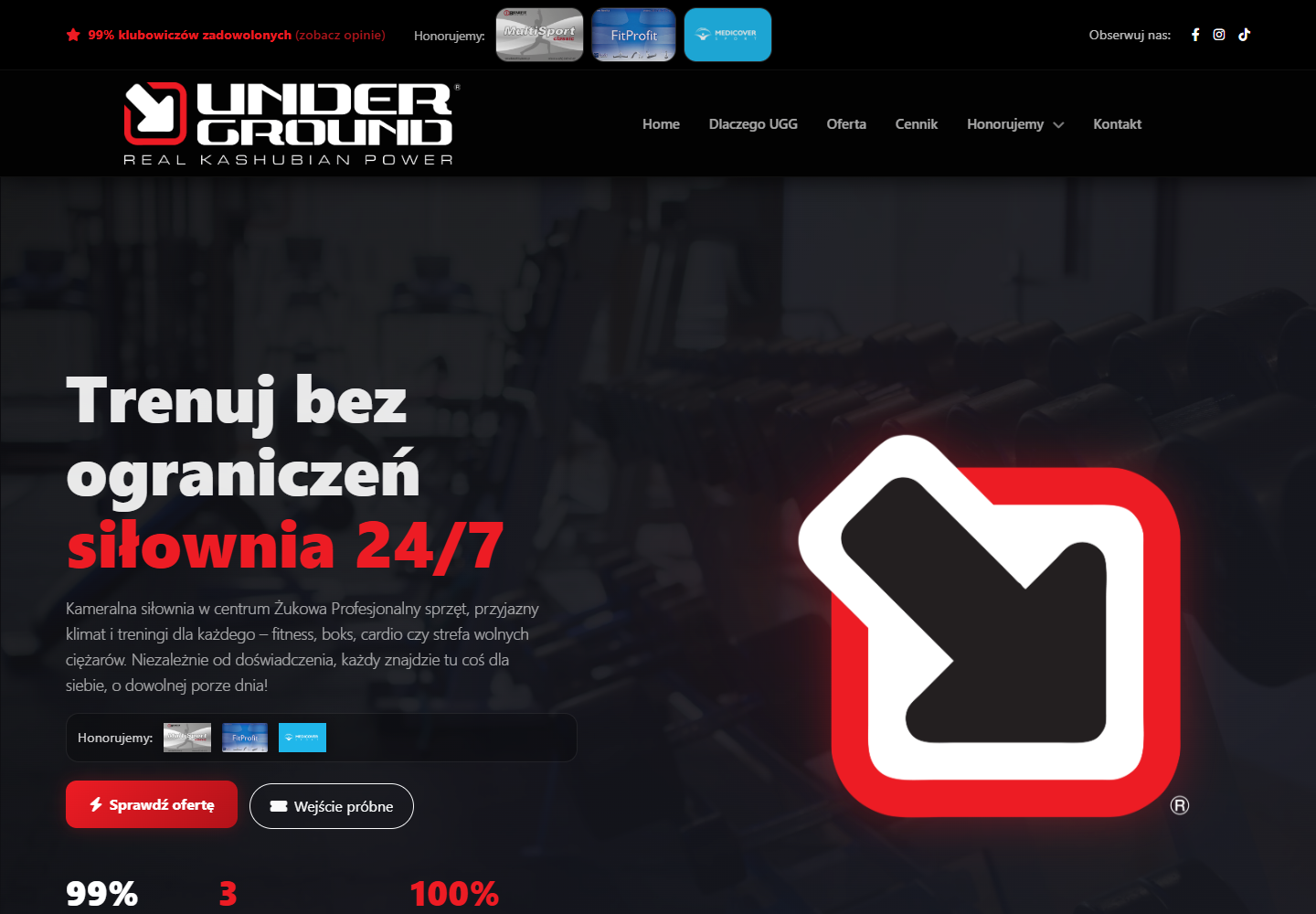 UndergroundGym.pl live website screenshot